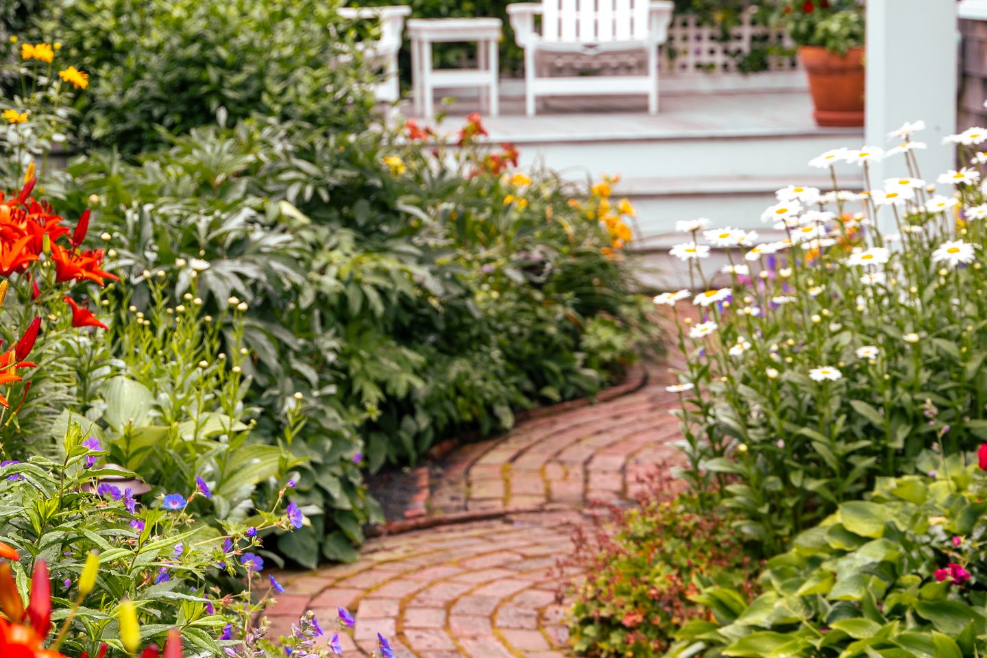 Summer in Provincetown