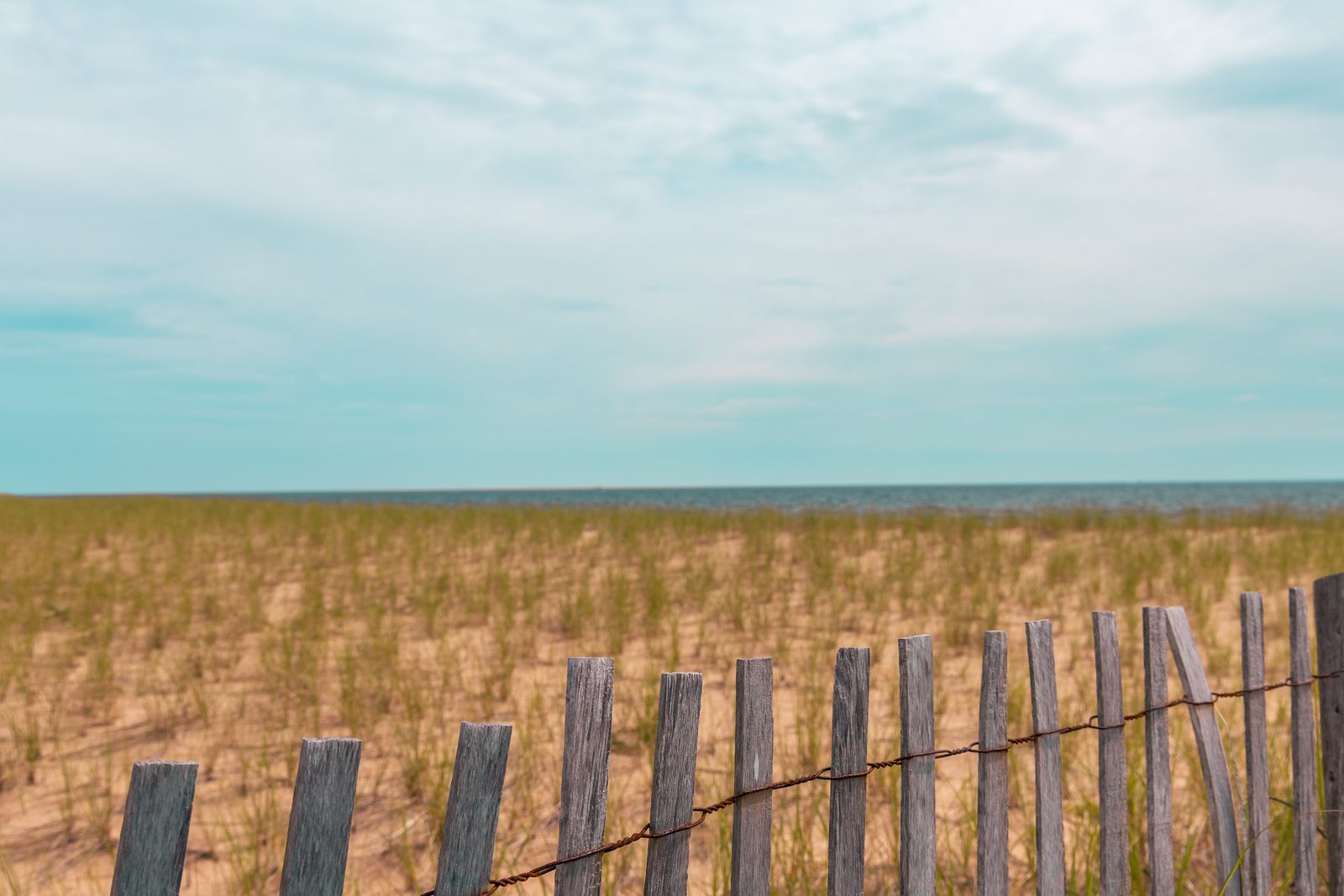 Summer in Provincetown